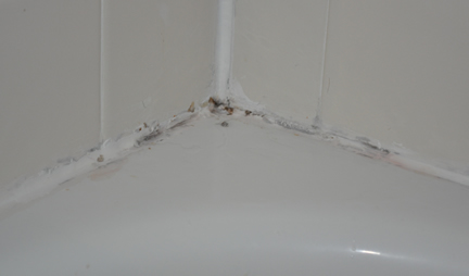 bathtub-mold2
